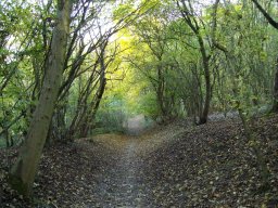 Ridgeway Woods
